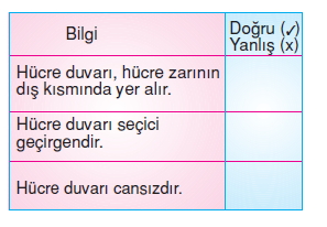 Canlilardaüremebüyümevegelismekonutesti1009