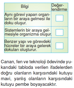 Canlilardaüremebüyümevegelismekonutesti2001