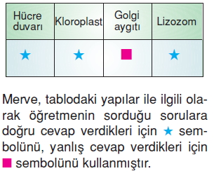 Canlilardaüremebüyümevegelismekonutesti2006