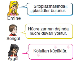 Canlilardaüremebüyümevegelismekonutesti2007