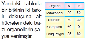 Canlilardaüremebüyümevegelismekonutesti2009