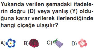 Canlilardaüremebüyümevegelismekonutesti3002