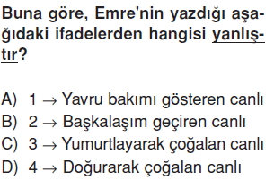 Canlilardaüremebüyümevegelismekonutesti4002