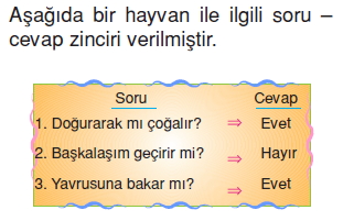 Canlilardaüremebüyümevegelismekonutesti4011