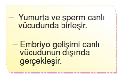 Canlilardaüremebüyümevegelismekonutesti5002