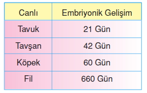 Canlilardaüremebüyümevegelismekonutesti5006