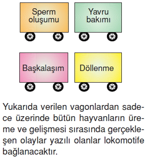 Canlilardaüremebüyümevegelismekonutesti5008