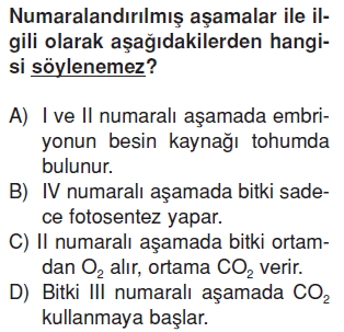 Canlilardaüremebüyümevegelismekonutesti6005