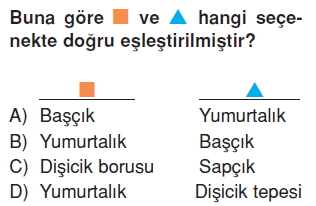 Canlilardaüremebüyümevegelismekonutesti6011