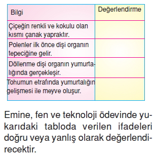 Canlilardaüremebüyümevegelismekonutesti7004