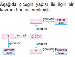 Canlilardaüremebüyümevegelismekonutesti8003