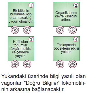 Canlilardaüremebüyümevegelismekonutesti8007