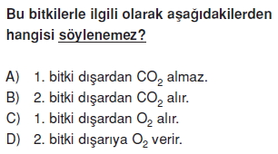 Canlilarveenerjiilişkilericözümlütest1002