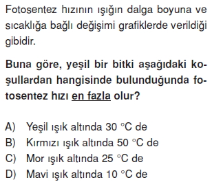 Canlilarveenerjiilişkilericözümlütest1004