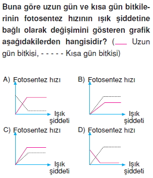 Canlilarveenerjiilişkilericözümlütest1006