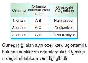 Canlilarveenerjiilişkilericözümlütest1007