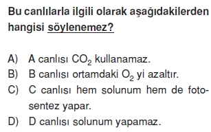 Canlilarveenerjiilişkilericözümlütest1008