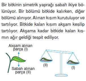 Canlilarveenerjiilişkilericözümlütest1009