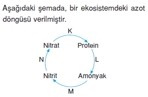 Canlilarveenerjiilişkilericözümlütest1014