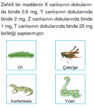 Canlilarveenerjiilişkilericözümlütest1015