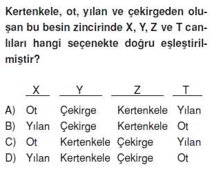 Canlilarveenerjiilişkilericözümlütest1016