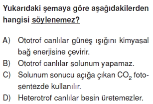 Canlilarveenerjiilişkilericözümlütest1019