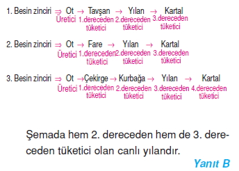 Canlilarveenerjiilişkilericözümler1006