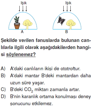 Canlilarveenerjiilişkilerikonutesti4002