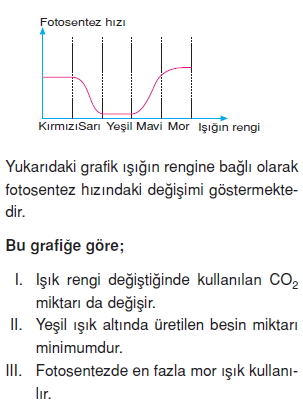 Canlilarveenerjiilişkilerikonutesti4003