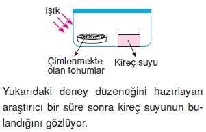 Canlilarveenerjiilişkilerikonutesti6001