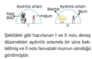 Canlilarveenerjiilişkilerikonutesti6006