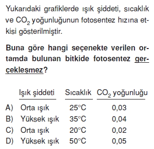 Canlilarveenerjiilişkilerikonutesti6013