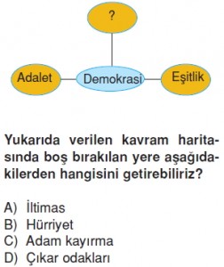 Demokrasininserüvenikonutesti3006