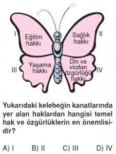 Demokrasininserüvenikonutesti7003