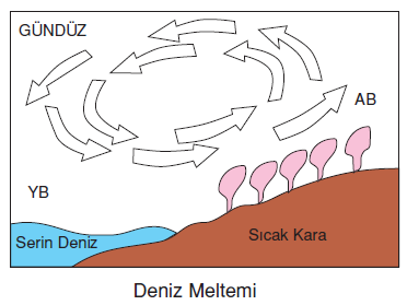 sürekli rüzgarların temel özelliği nedir