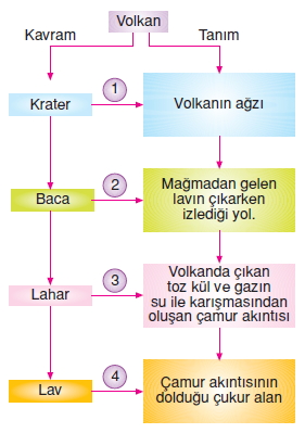 Dogalsüreclerkonutesti2001