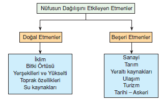 Dunyada_Nufusun_Alansal_Dagilisi