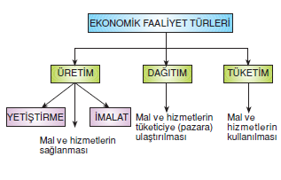 Ekonomik_faaliyetler