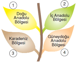 Ekonomivesosyalhayatcözümlütest7004