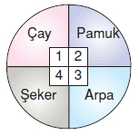 Ekonomivesosyalhayatcözümlütest8001