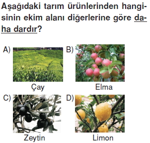 Ekonomivesosyalhayatcözümlütest8007