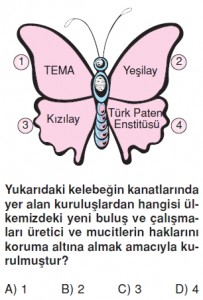 Elektronikyüzyilkonutesti6003