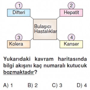 Elektronikyüzyilkonutesti7001