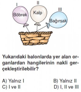 Elektronikyüzyilkonutesti7003