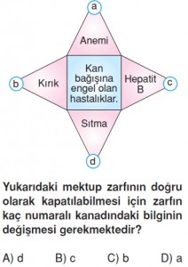 Elektronikyüzyilkonutesti7004