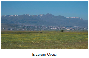 Erzurum_Ovasi