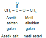 Esterlerin_Adlandirilmasi