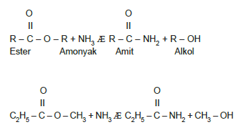 Esterlerin_Amonyakla_Tepikemeleri