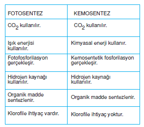 Fotosentez-_Kemosentez