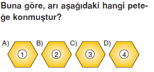 Günessistemiveveötesicözümlütest1008